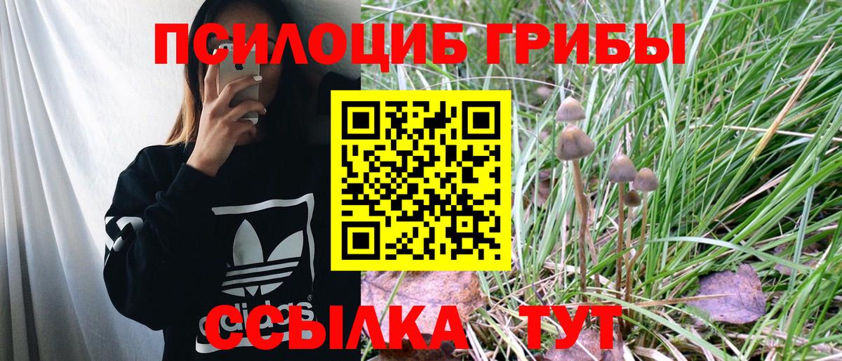 Псилоцибиновые грибы мицелий Сыктывкар