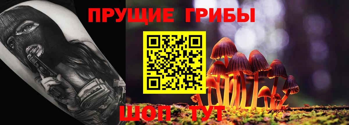 Галлюциногенные грибы Psilocybine cubensis  Вход с VPN  Псилоцибиновые грибы GOLDEN TEACHER  Сыктывкар 